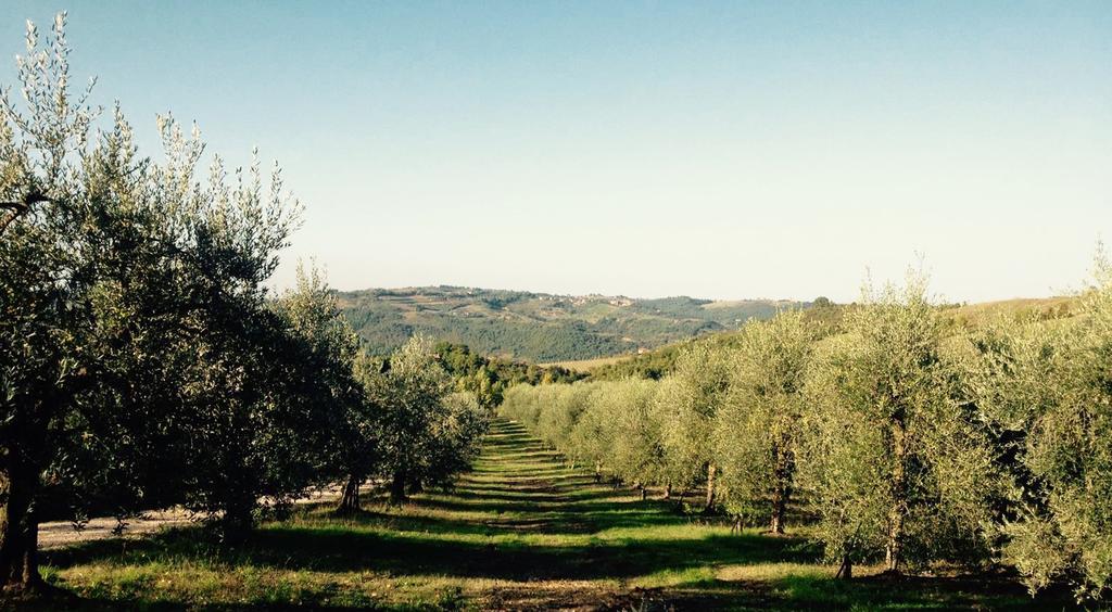 Вилла Podere Le Corone Monte Castello di Vibio Экстерьер фото