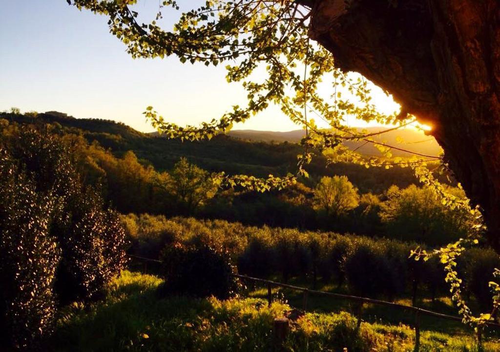 Вилла Podere Le Corone Monte Castello di Vibio Экстерьер фото