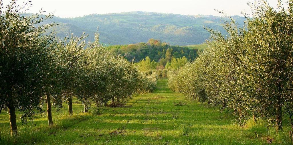 Вилла Podere Le Corone Monte Castello di Vibio Экстерьер фото